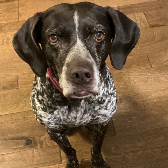 gsp_girl